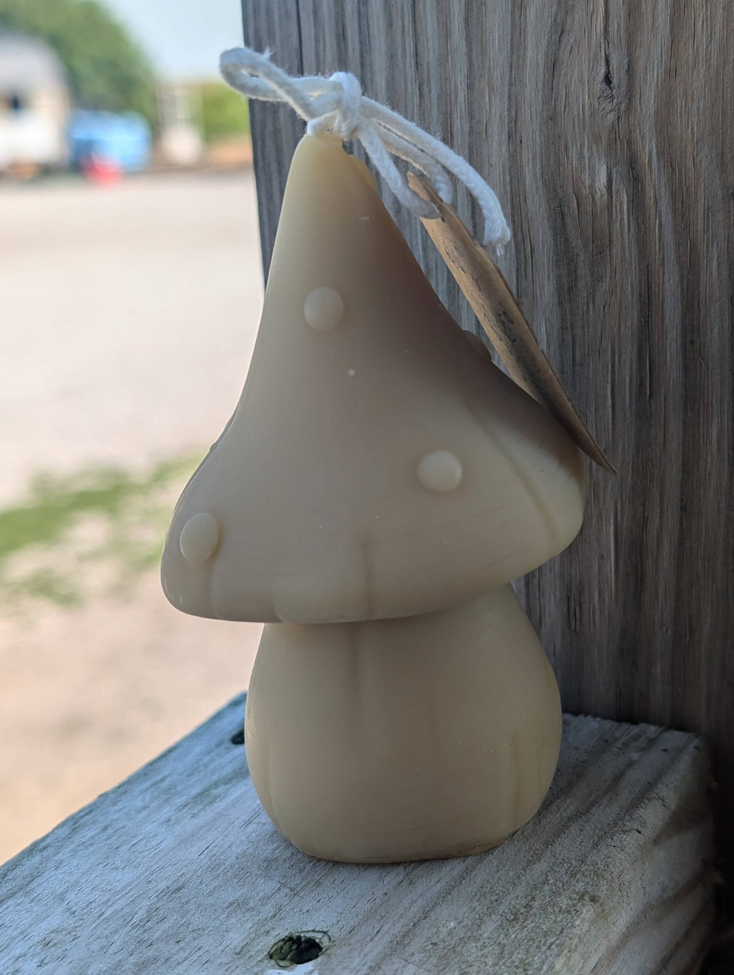 Beeswax Mushroom Candles - Oak Down Collectibles