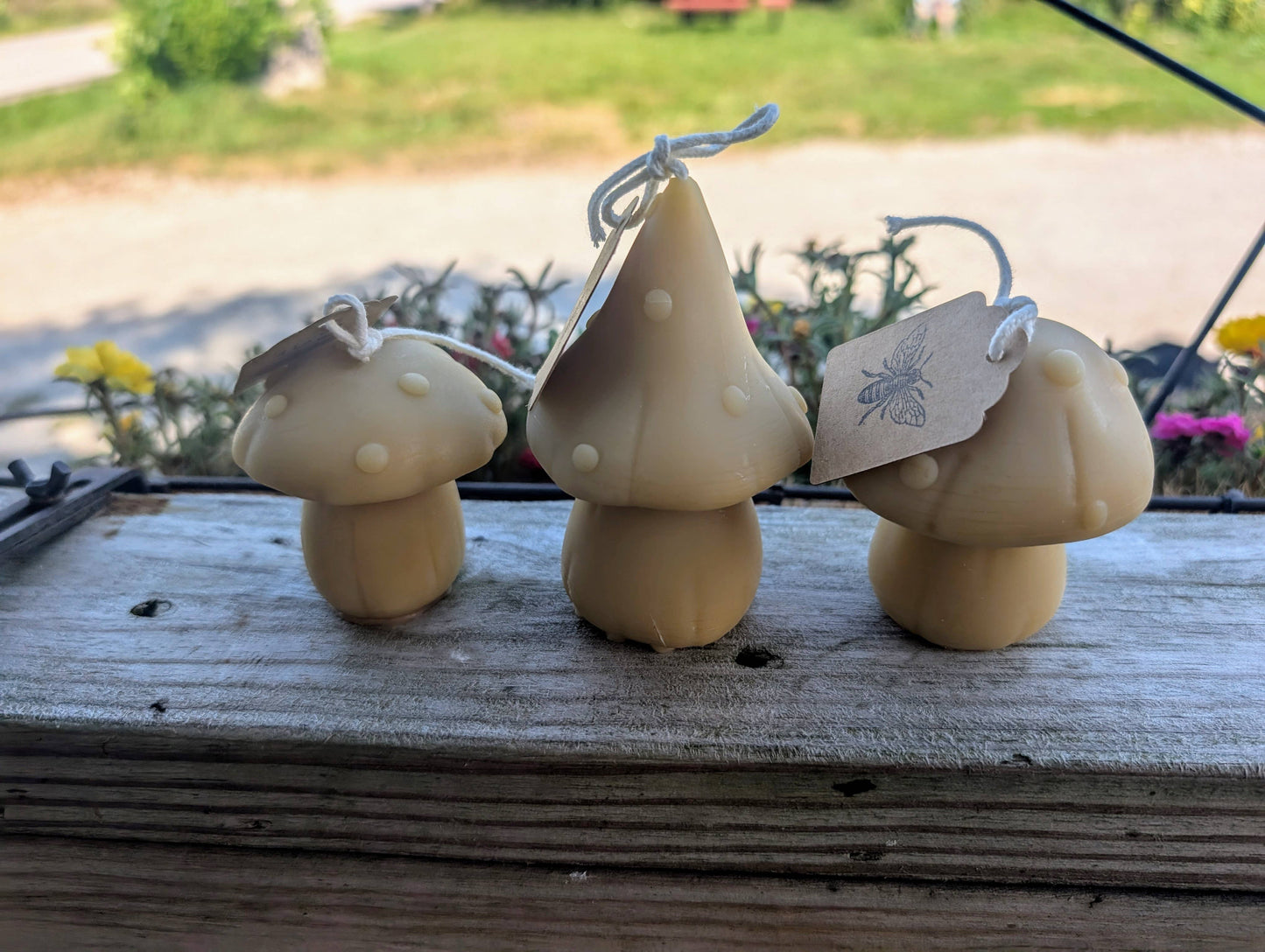 Beeswax Mushroom Candles - Oak Down Collectibles
