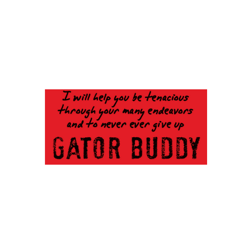 Gator Buddy - Watchover Voodoo Dolls - Keychain