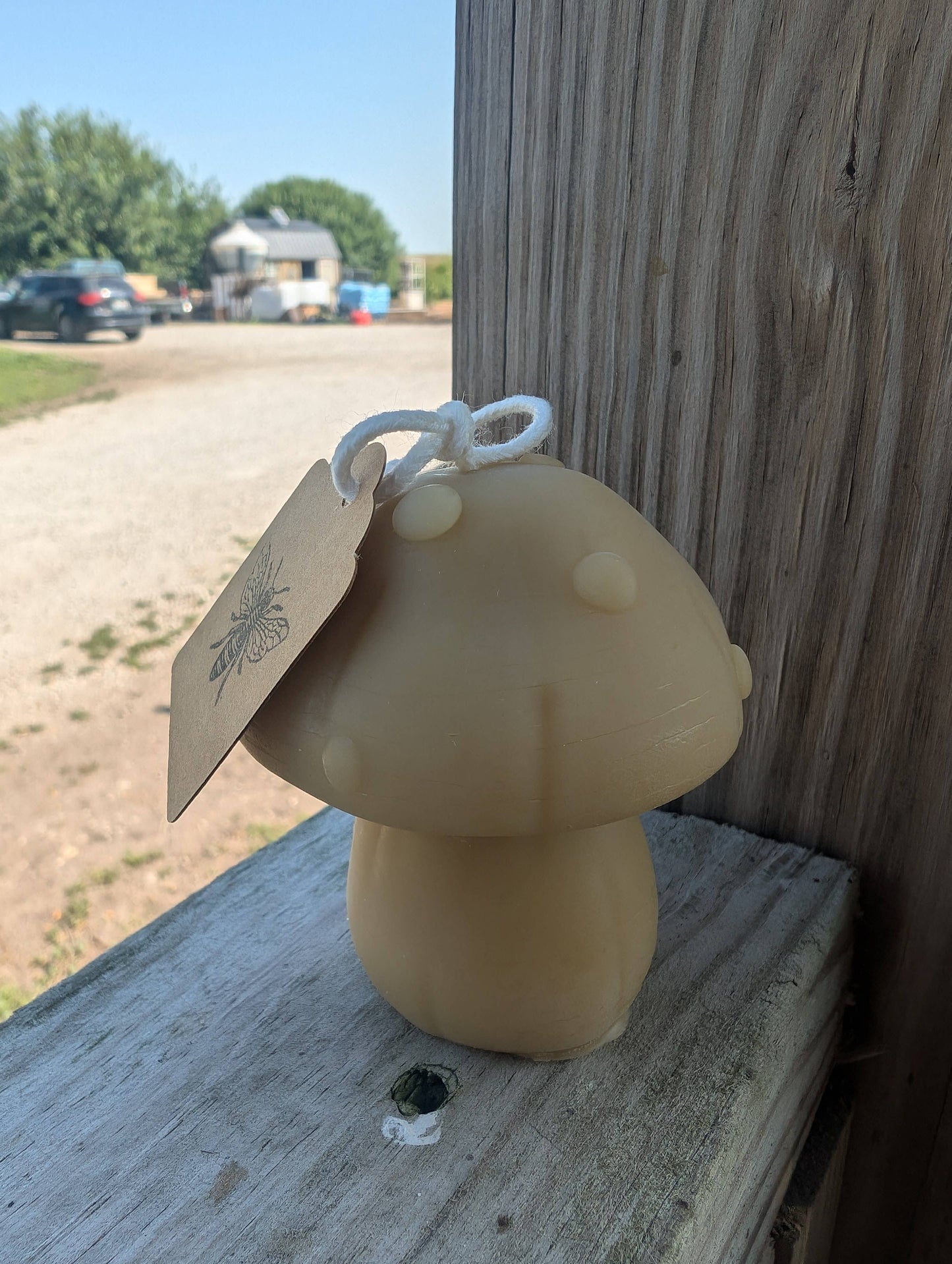 Beeswax Mushroom Candles - Oak Down Collectibles