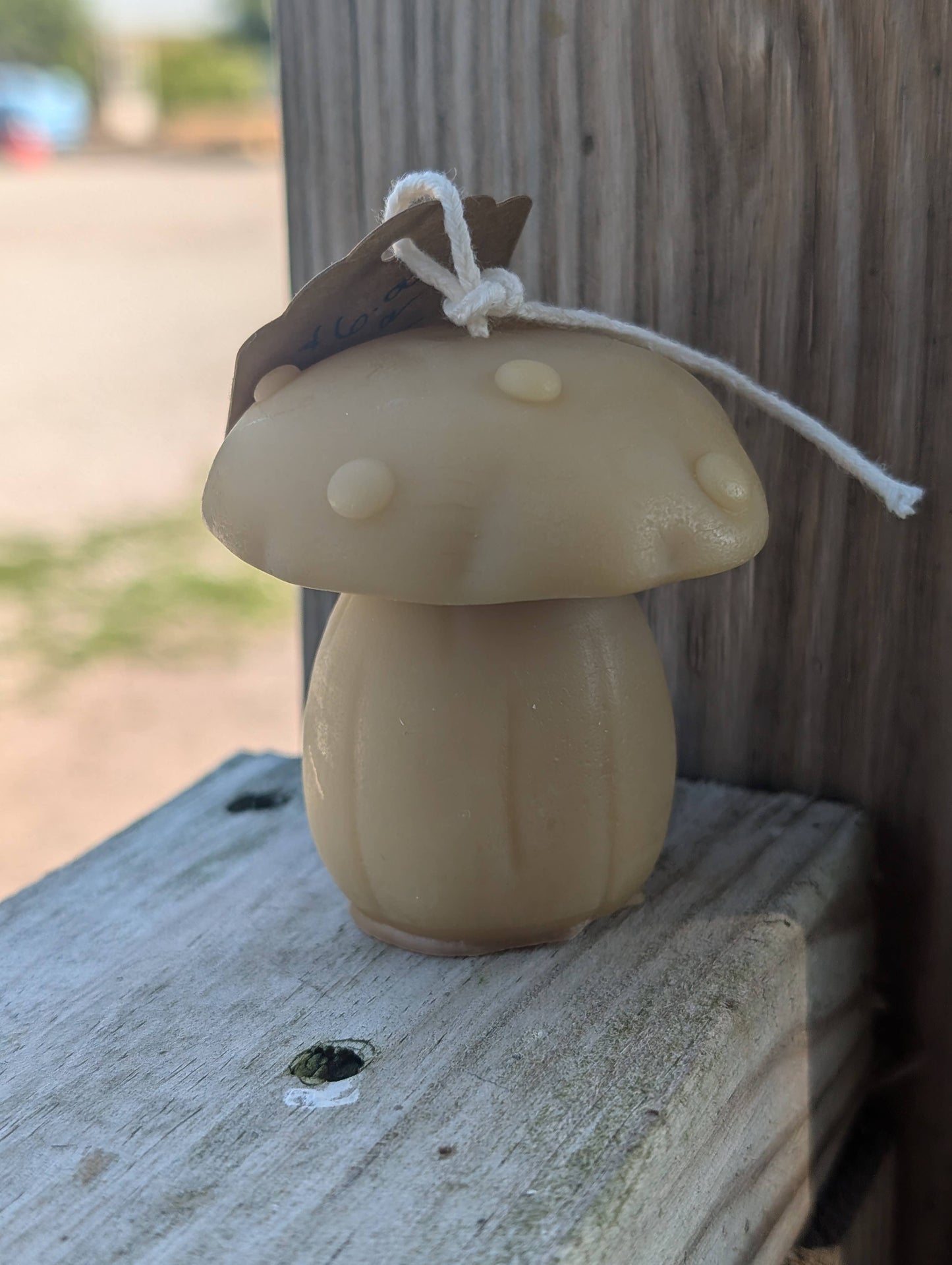 Beeswax Mushroom Candles - Oak Down Collectibles