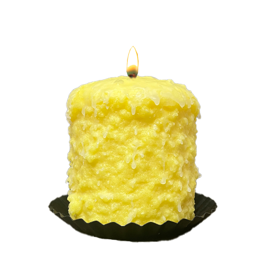 Lemon Blueberry Hearth Candle - Oak Down Collectibles
