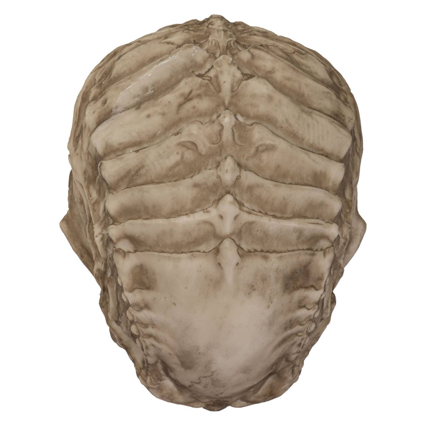 Y9308 Cthulhu Skull C/6