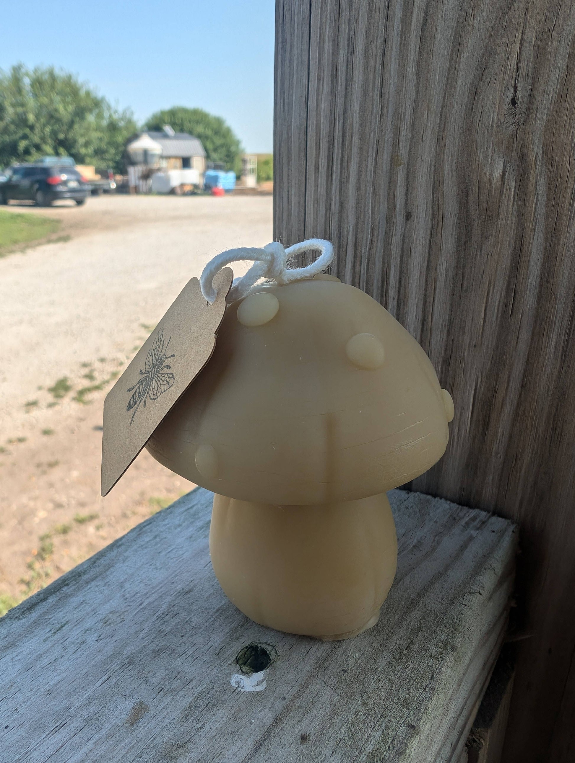Beeswax Mushroom Candles - Oak Down Collectibles