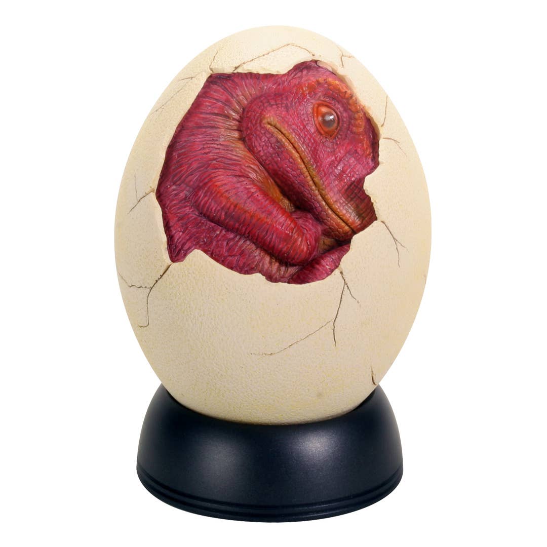 Y8721 Red Baby Egg Hatchling Dragon / Dinosaur