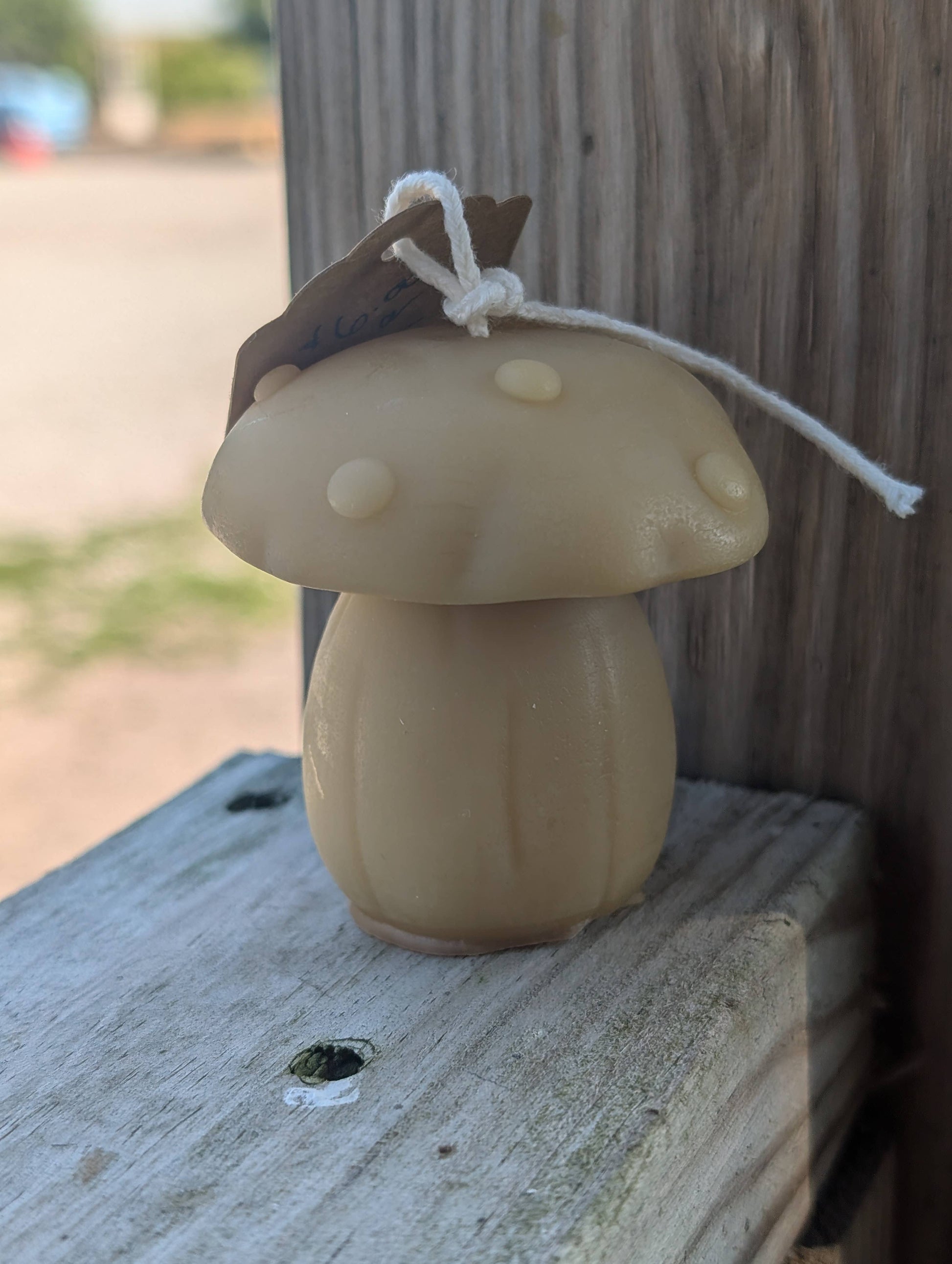 Beeswax Mushroom Candles - Oak Down Collectibles