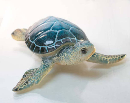 Blue Turtle 8"