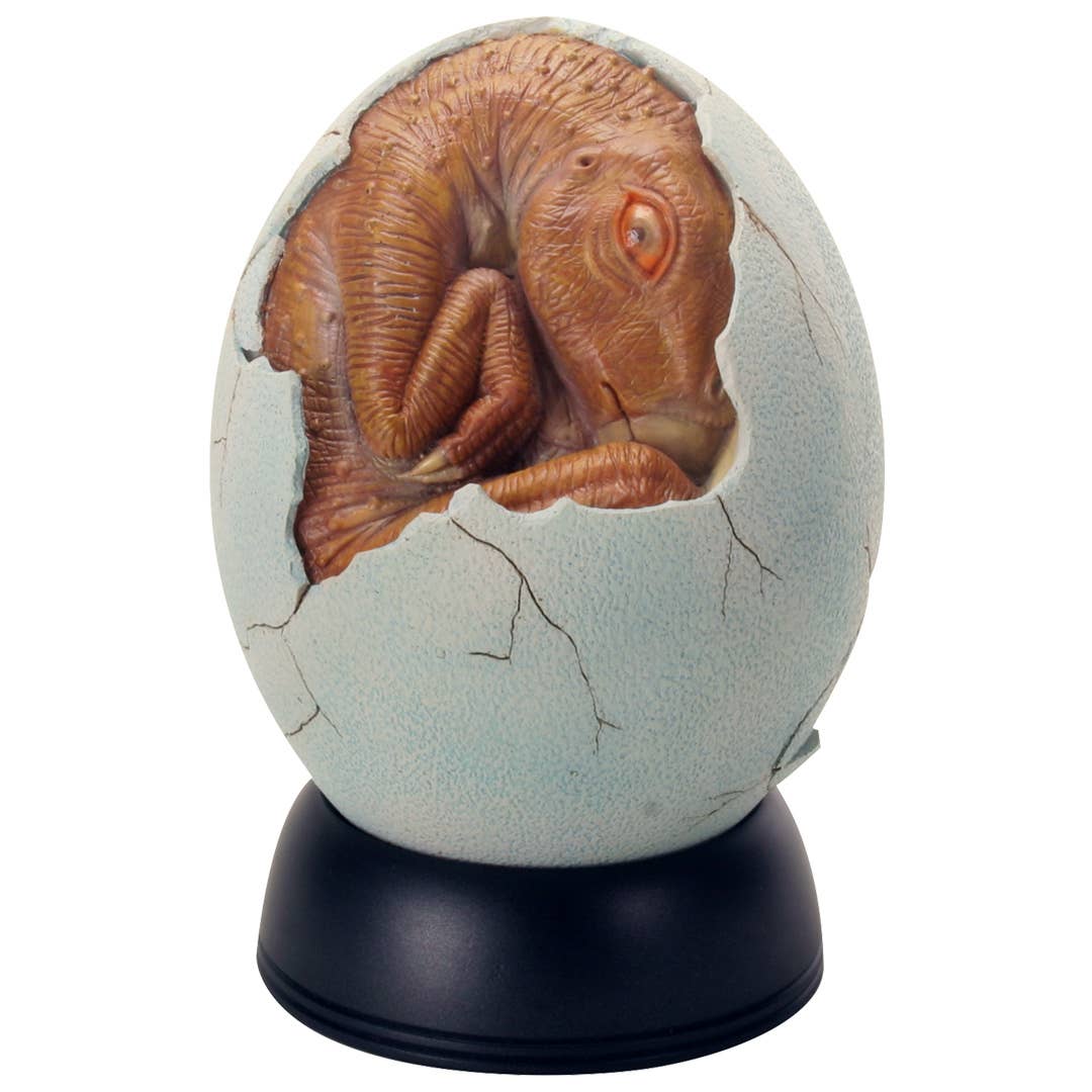Y8723 Brown Baby Egg Hatchling Dragon / Dinosaur